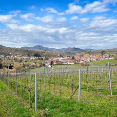 23-03-13 11-17-00 4838